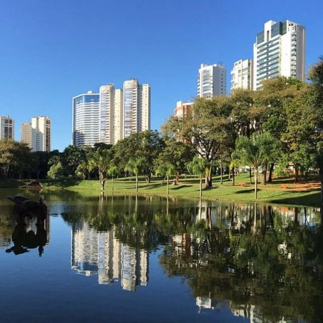 Imagem do Grupo de Whatsapp Mundo liberal Goiânia e região 🔥