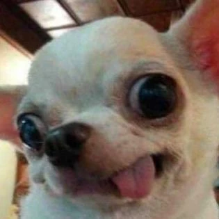 Imagem do Grupo de Whatsapp THE LITTLE FRIENDS