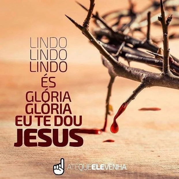 Imagem do Grupo de Whatsapp 👑𝙲𝚁𝙸𝚂𝚃𝙾 𝚅𝙴𝙼┕☽prεpαrα-†ε☾┙😇🙏🏻