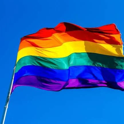 Imagem do Grupo de Whatsapp Mundo LGBT 🌈