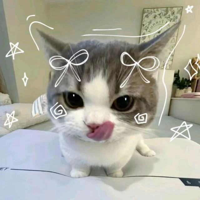 !¡•°˚ 𝑚𝑒 ~ ᴄᴏʀᴇ ˚*•̩̩͙✩ ☕' | WhatsApp Channel 
