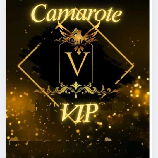 Imagem do Grupo de Whatsapp ⚜️ CAMAROTE VIP⚜️
