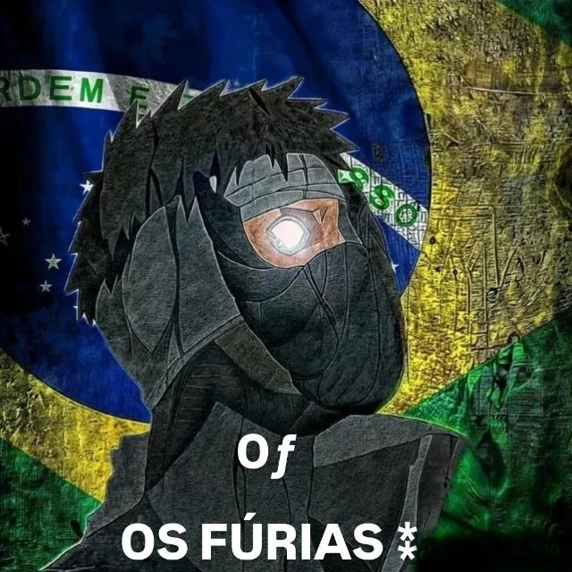 Imagem do Grupo de Whatsapp ⚕️OS FÚRIA ⁑