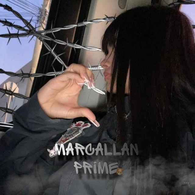 Imagem do Grupo de Whatsapp 🌴🔥̸̷𝐌͢𝐀𝜞͢𝐂𝐀𝐋𝐋͢𝐀𝐍 𝐏͢𝐑𝐈𝐌𝐄🔥̸̷🌴