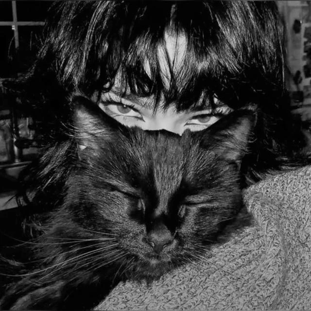 Imagem do Grupo de Whatsapp ᯓ𝑩𝒍𝒂𝒄𝒌 𖤐 𝑾𝒉𝒊𝒔𝒌𝒆𝒓