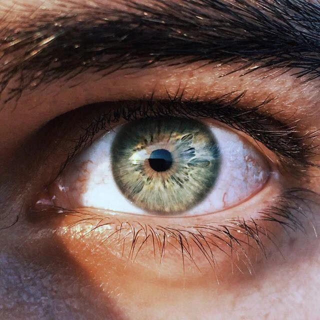 Ponto de Vista 🧠👁️ | WhatsApp Channel 