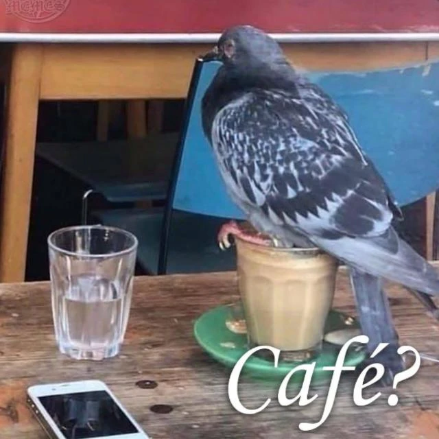 Imagem do Grupo de Whatsapp Grupo aleatório