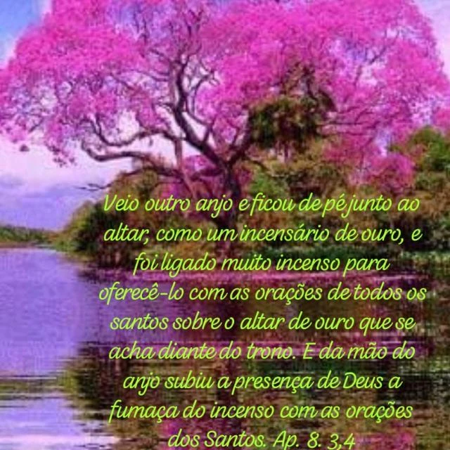 Imagem do Grupo de Whatsapp GRUPO DE ORAÇÃO "*SÓ 👑JESUS👑 PODE SALVAR*"🌾🪷