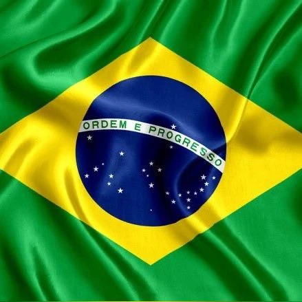 Imagem do Grupo de Whatsapp Direita Brasil