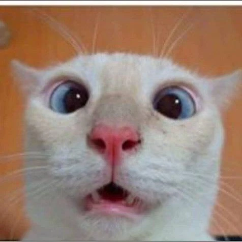 Imagem do Grupo de Whatsapp 👽De tudo um pouco👽