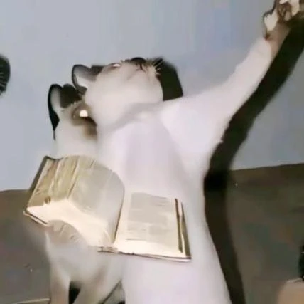 Imagem do Grupo de Whatsapp ᵕ٭☘︎˙•† 𝑨𝒍𝒊𝒂𝒏𝒄̧𝒂 𝑱𝒐𝒗𝒆𝒎 †•˙☘︎*ᵕ